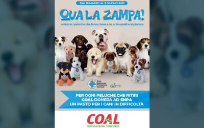 Coal – Short “Qua la zampa”